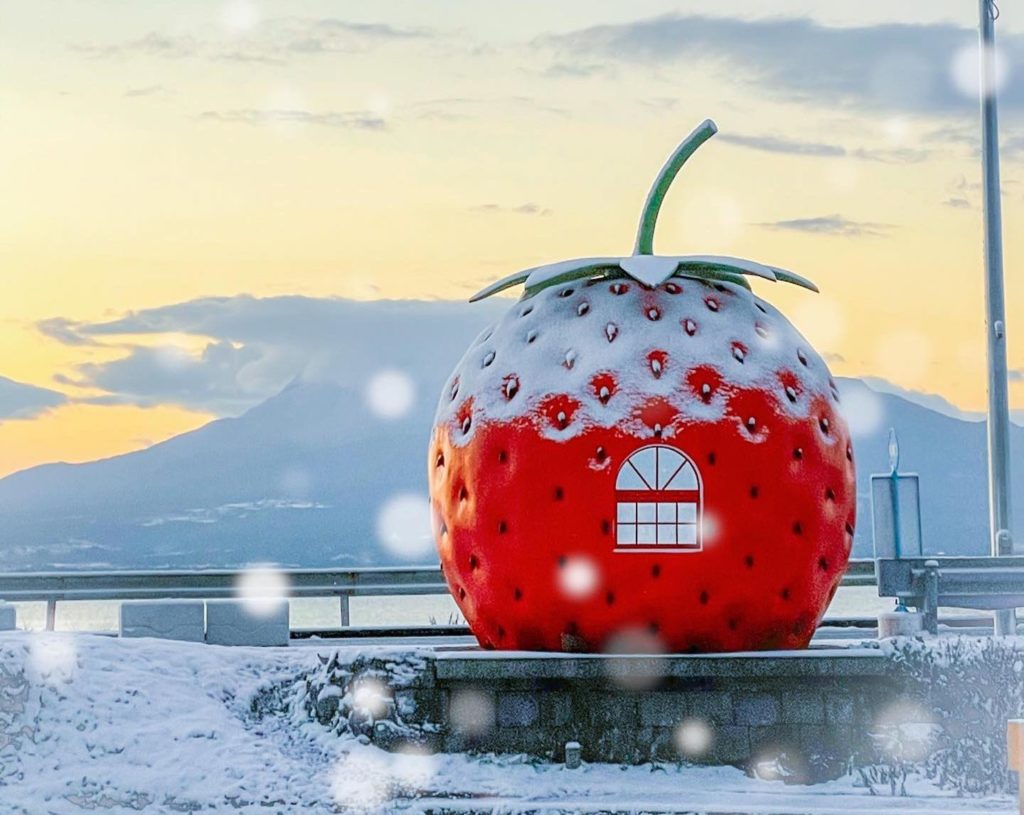 井崎いちごバス停映え写真